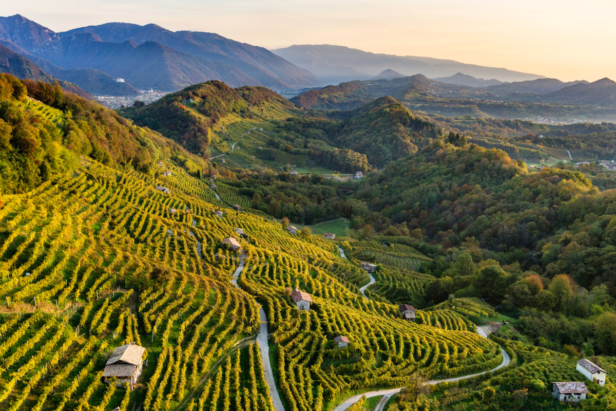 Az egyik legkülönlegesebb prosecco hazája: Conegliano-Valdobiaddene | Forrás: wine.it