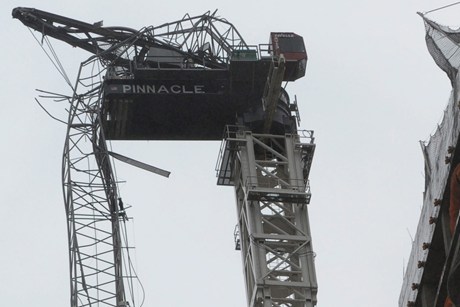 NY-crane-3