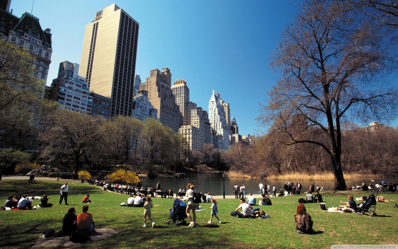 central park-wallpaper-1280x800