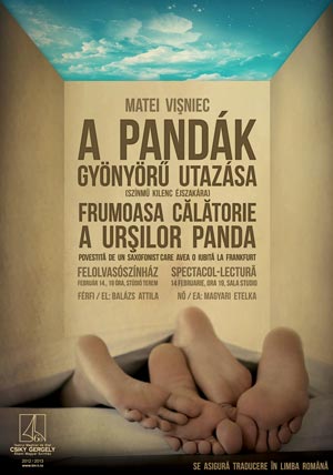 panda-plakat3