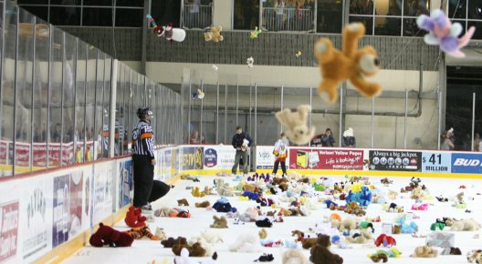 TeddyBearToss5737