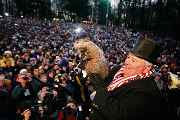 punxsutawney-phil-photo